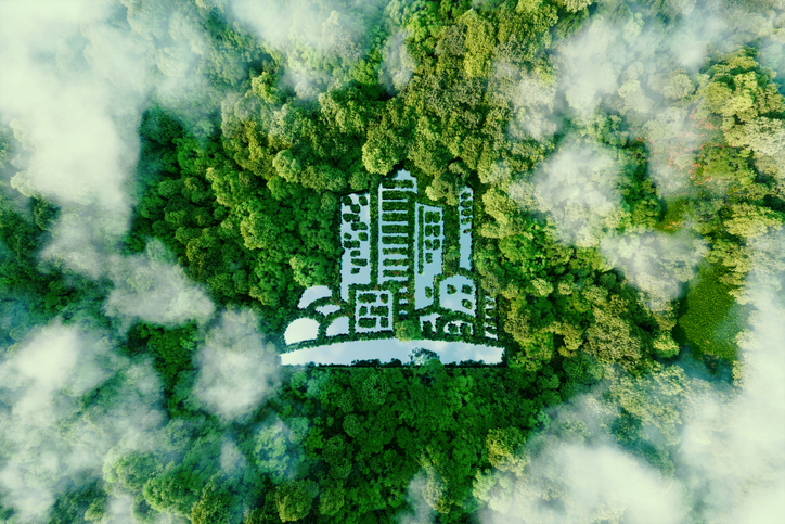 lush green trees, foliage surrounding a city, urging need to create sustainable hotels